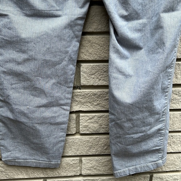 GAP Girlfriend Khakis Capris Blue Stripe Sz 12 - Picture 10 of 11
